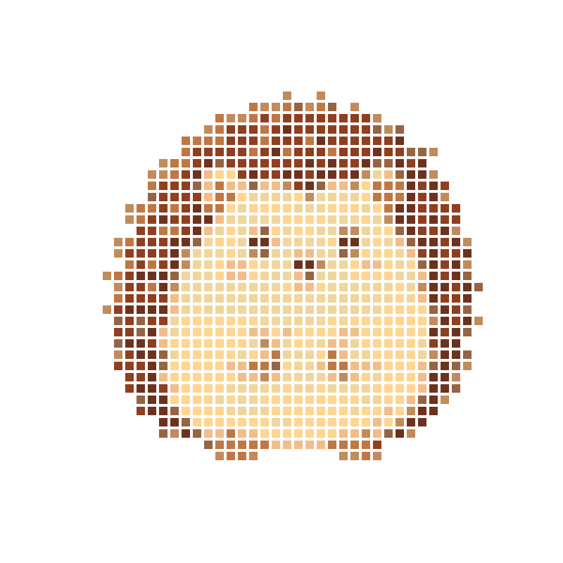 A cute, chubby cartoon hedgehog illustration